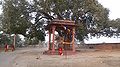 पुर्नस्थापित अशोककालीन स्तम्भ शीर्ष