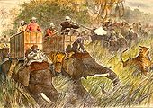 Tiger-Hunting-2.jpg