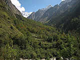 Valley-Of-Flowers-2.jpg