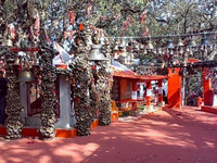 गोलू देवता मंदिर