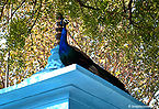 मोर, मथुरा Peacock, Mathura
