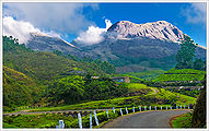 Munnar-1.jpg