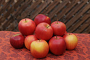 Apple.jpg