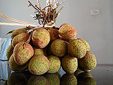 Lychee-4.jpg