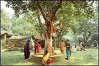 पीपल के वृक्ष की पूजा करते लोग