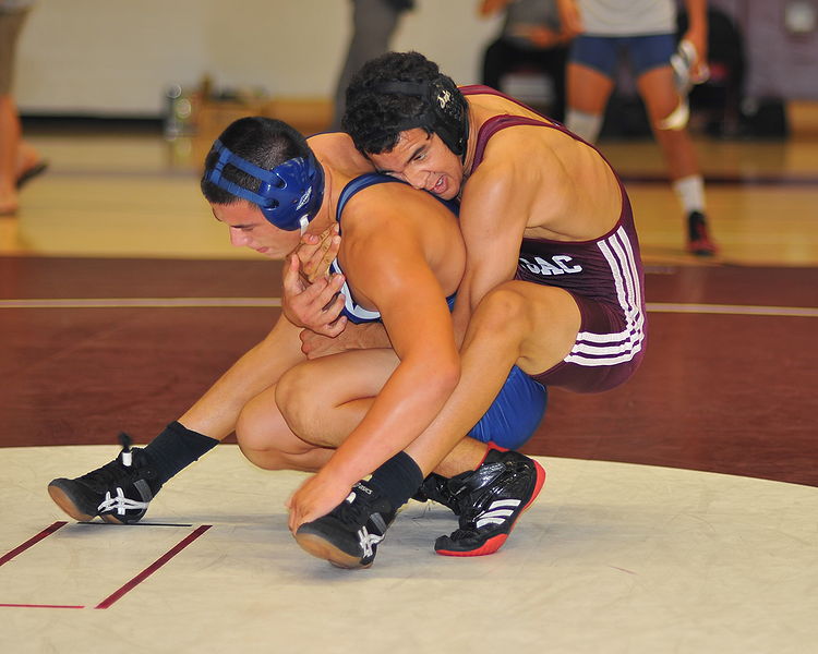 चित्र:American-Wrestling.jpg