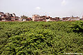 निधिवन, वृन्दावन Nidhivan, Vrindavan