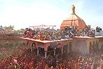होली, दाऊजी मन्दिर, बलदेव Holi, Dauji Temple, Baldev
