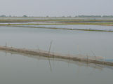 Chilika-Lake-4.jpg