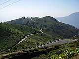 Kalimpong.jpg