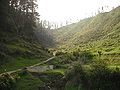 नरेन्द्रनगर की प्राकृतिक छटा